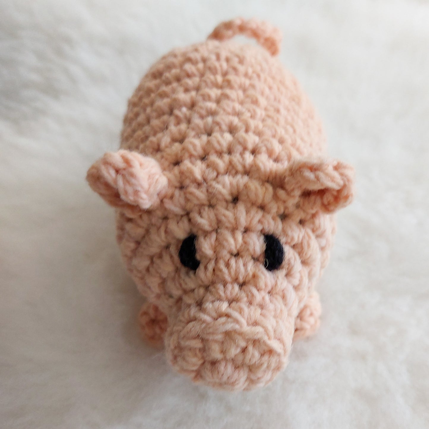 Pig