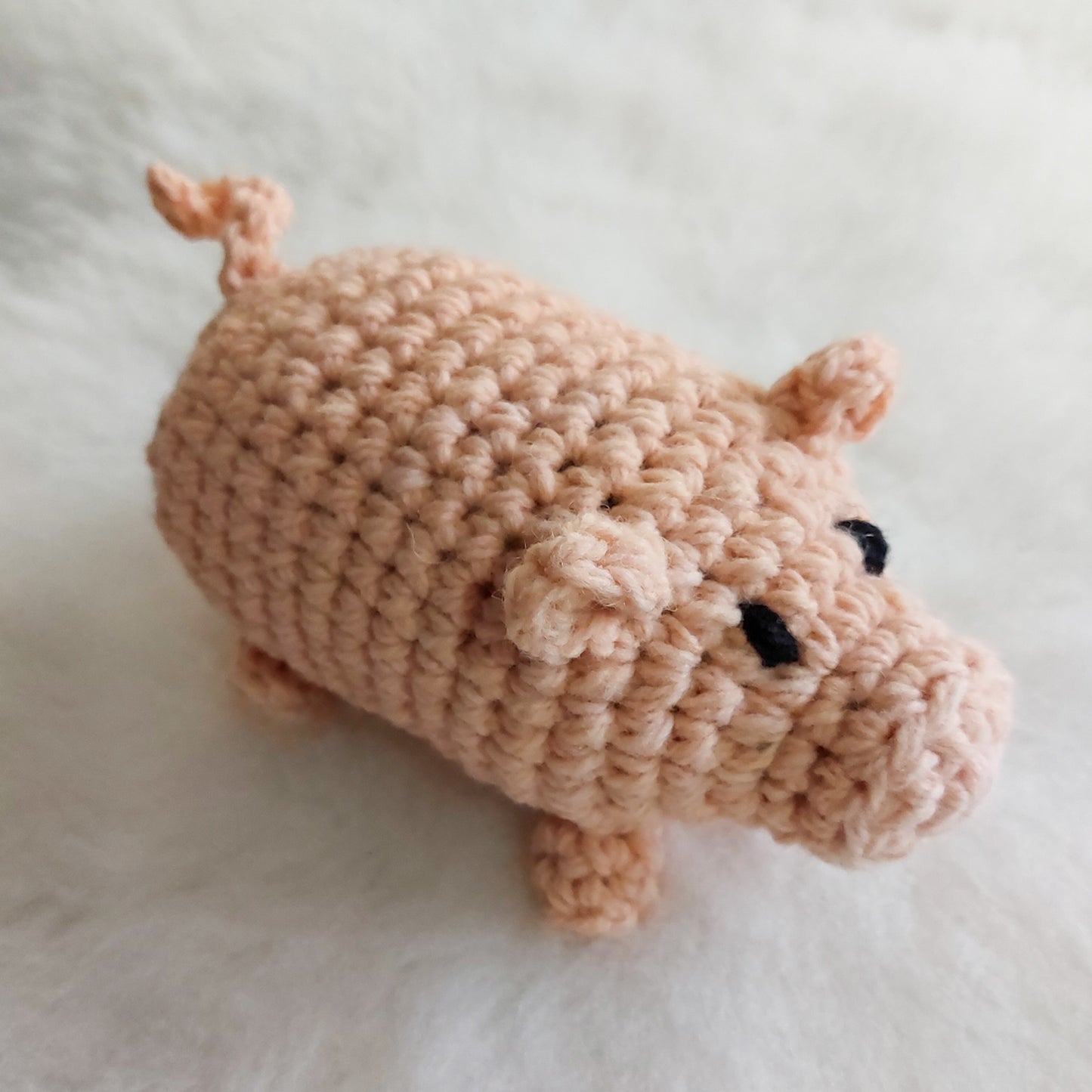 Pig