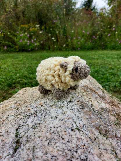 Sheep