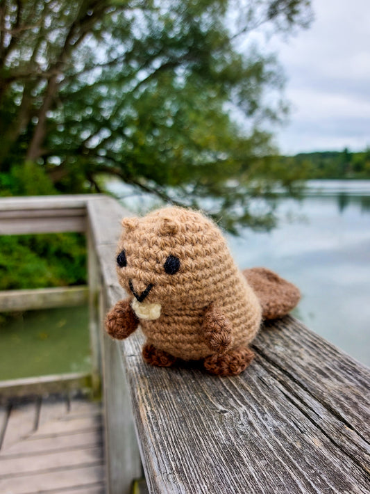 Beaver