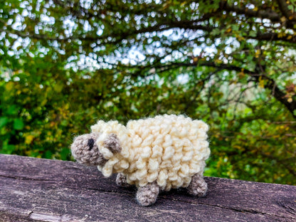 Sheep