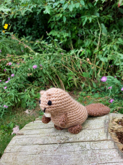 Beaver