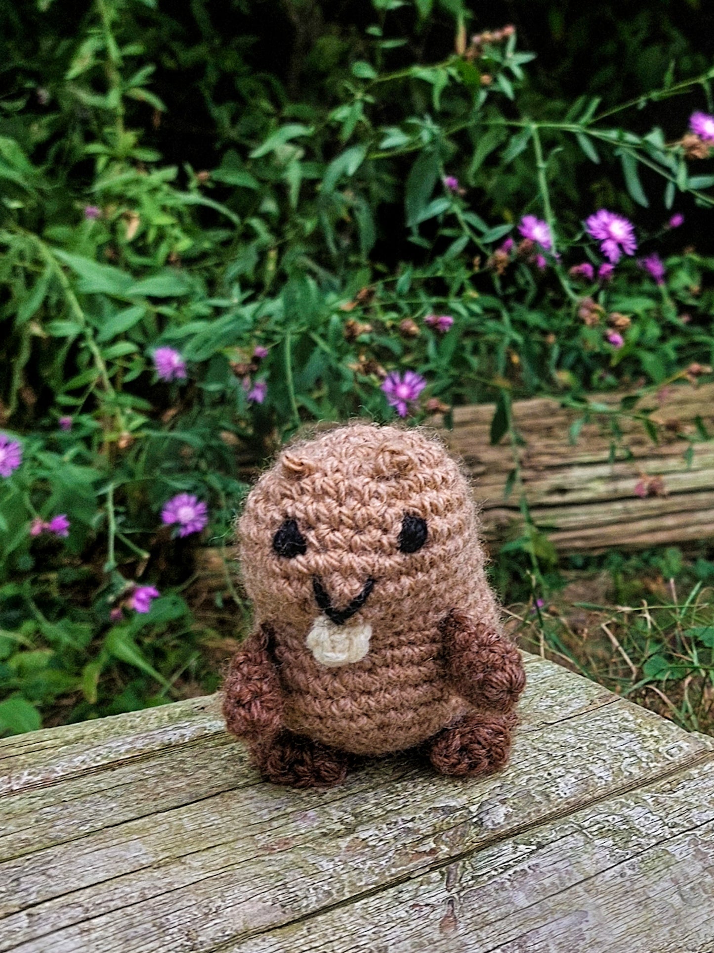 Beaver