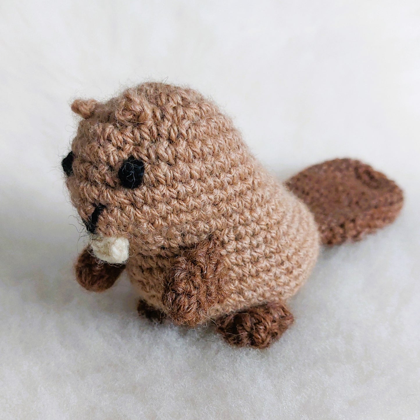 Beaver