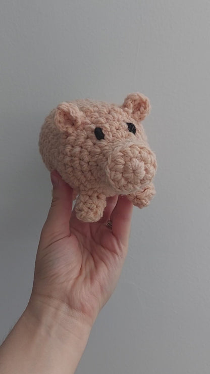 Pig