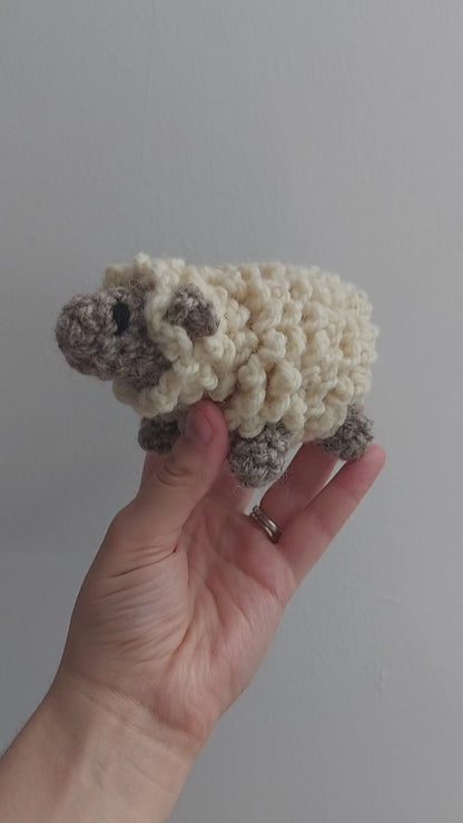 Sheep