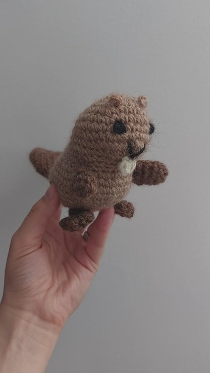 Beaver