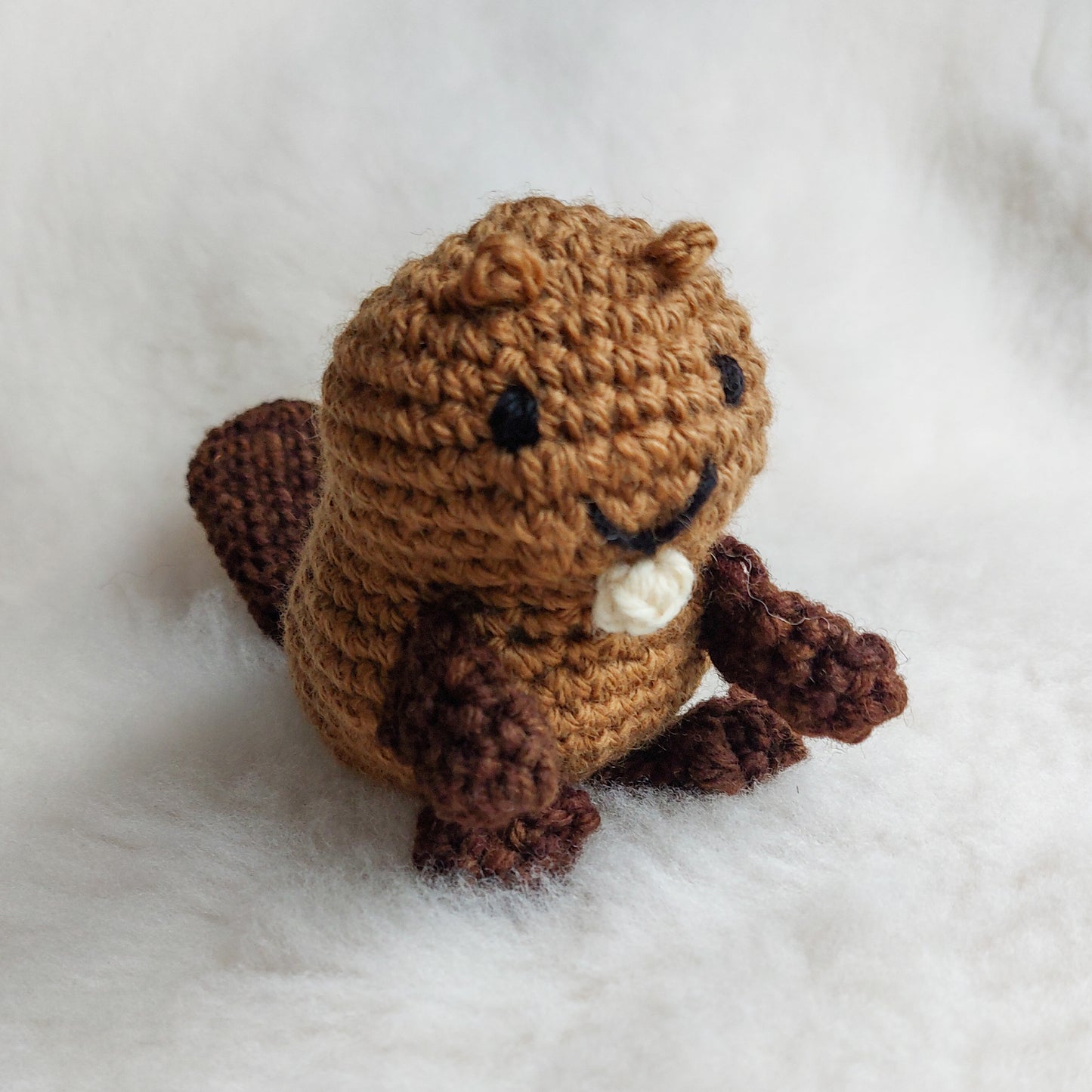 Beaver