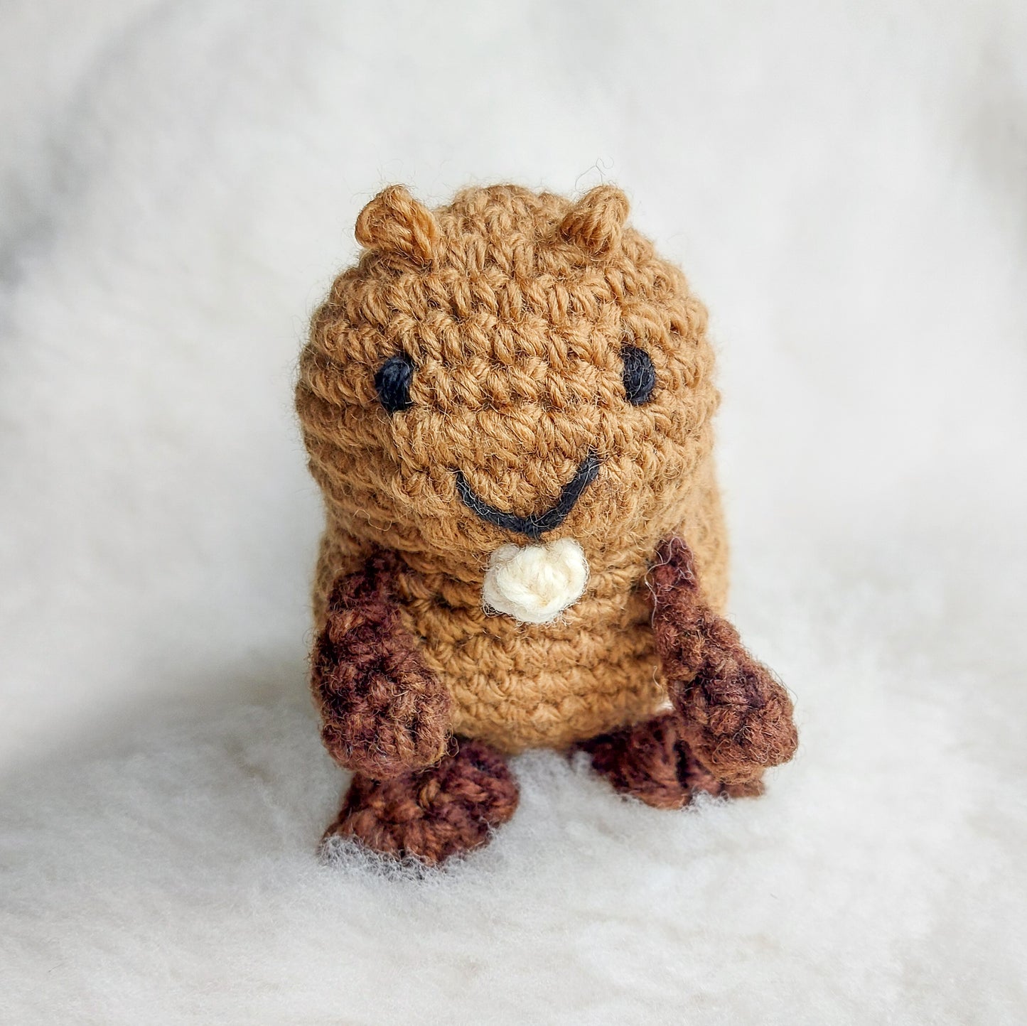 Beaver
