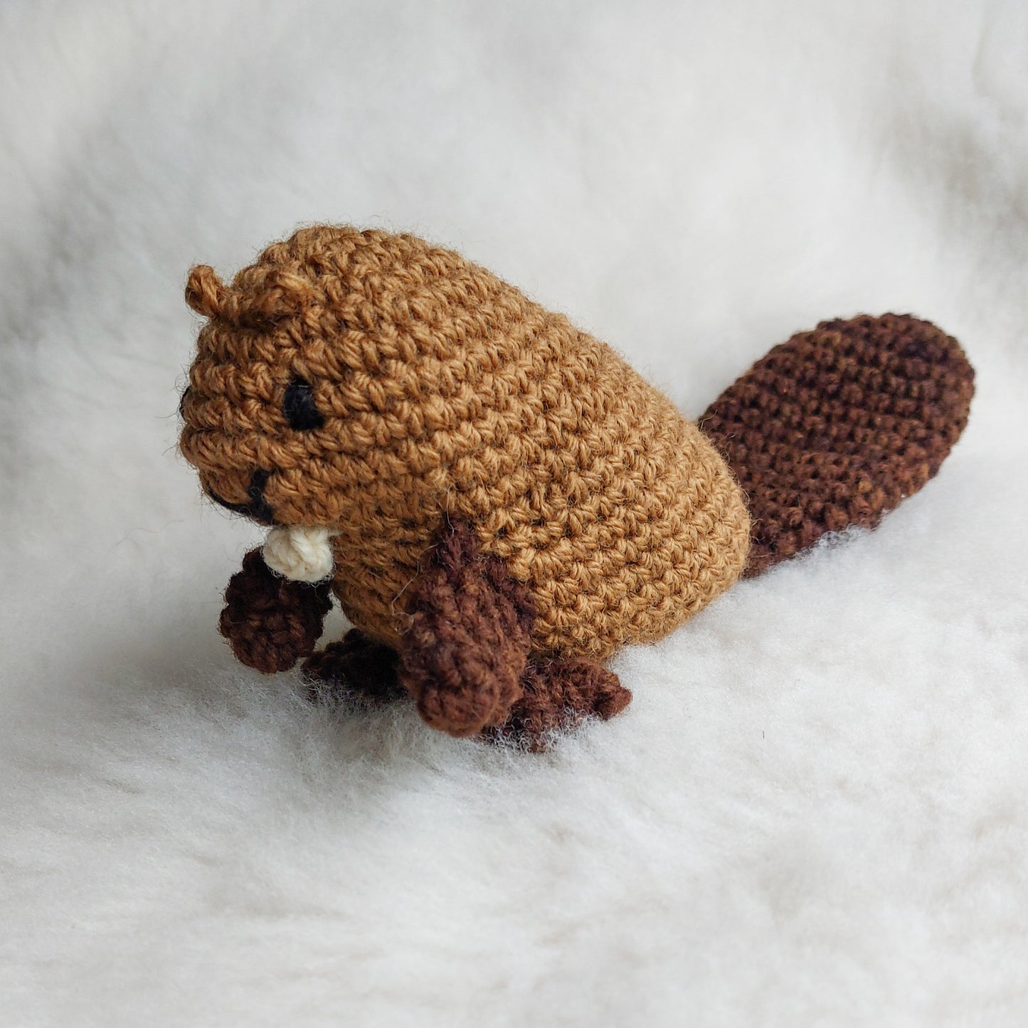 Beaver