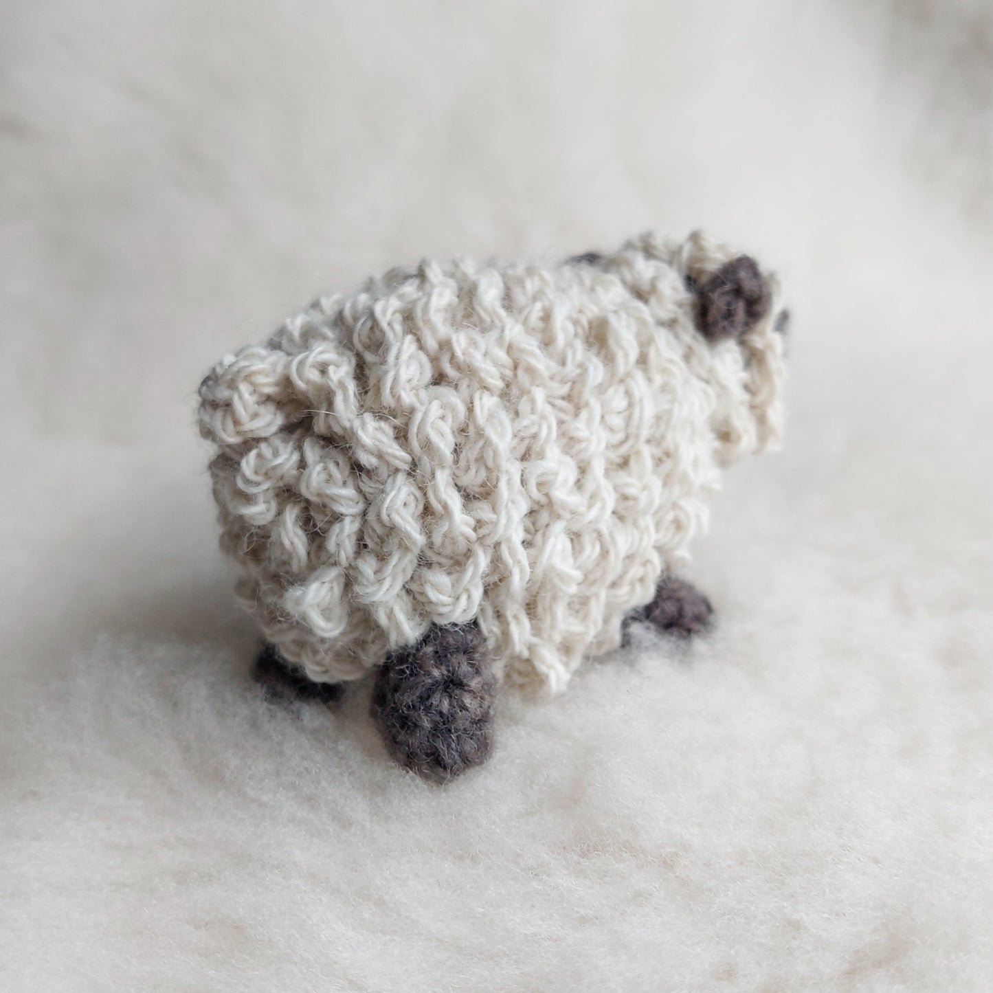 Sheep