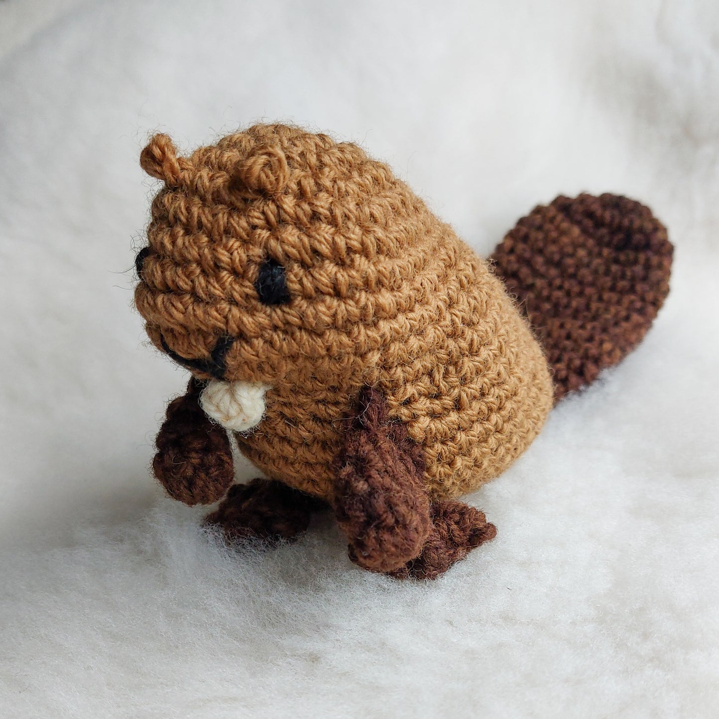 Beaver