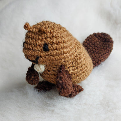 Beaver