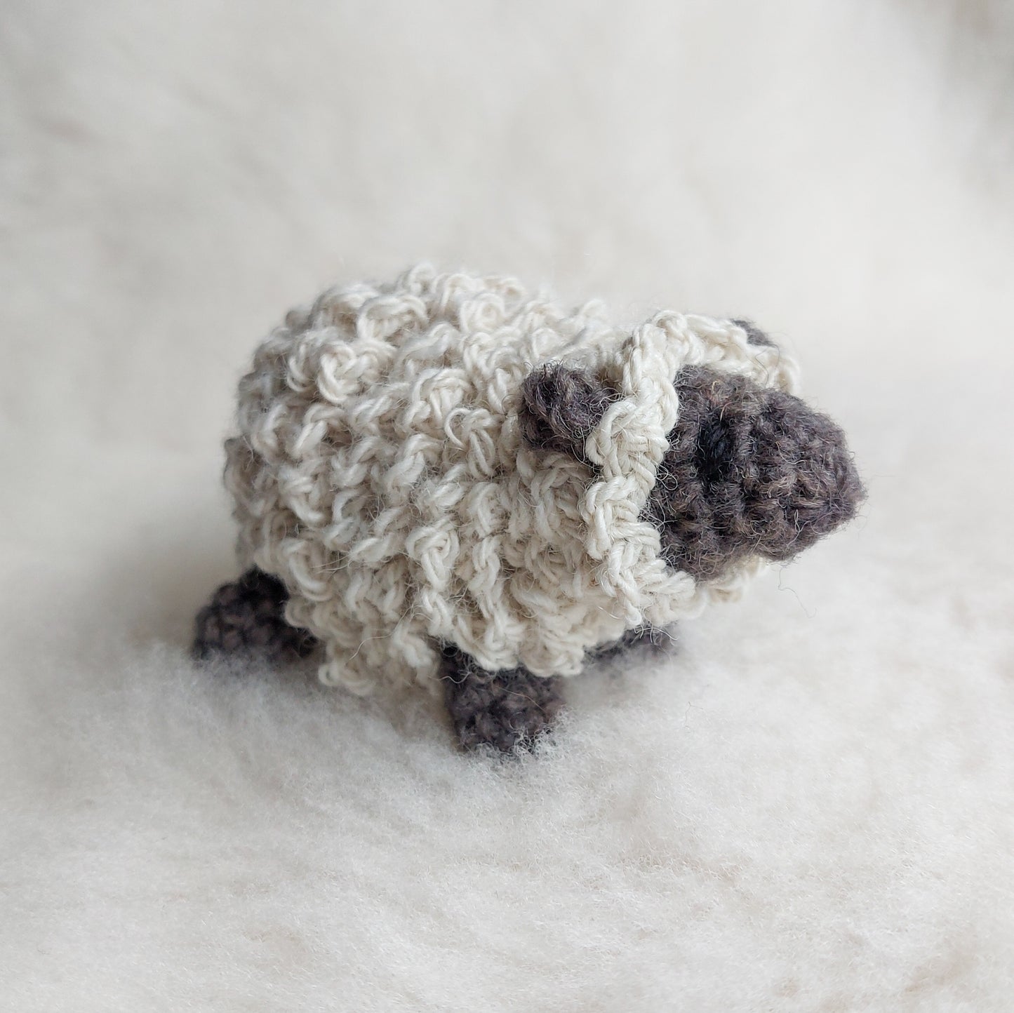 Sheep
